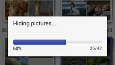 Screenshot von Gallery Plus - Hide Pictures 1