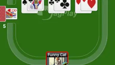 Screenshot von Durak Online HD 2