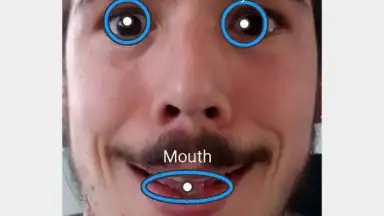 Screenshot von FaceSwap 3
