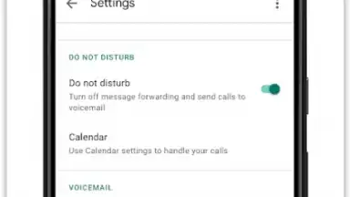 Screenshot von Google Voice 1