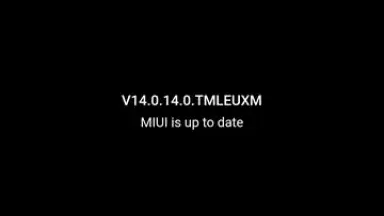 Screenshot von HyperOS Updater 1