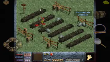 Screenshot von Dink Smallwood HD 3