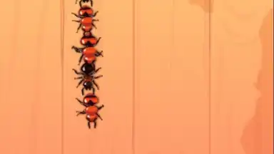 Screenshot von Ant Smash Game 4