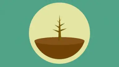 Screenshot von Forest: Stay Focused 4