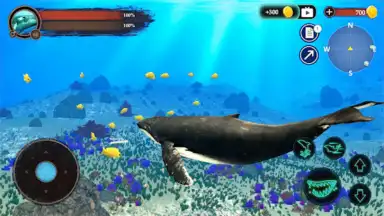 Screenshot von The Humpback Whales 15