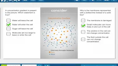 Screenshot von SPARKvue 2