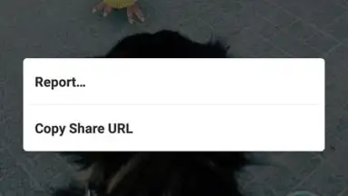 Screenshot von Instagram Photo and Video Downloader 2