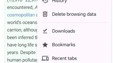 Screenshot von Chrome Beta 1