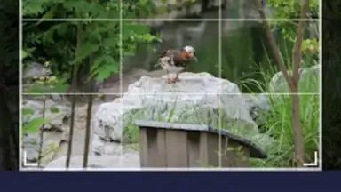 Screenshot von Smart Gallery - Photo Manager 4
