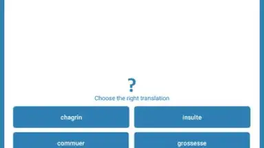 Screenshot von Reverso Translation Dictionary 18