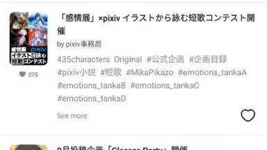 Screenshot von pixiv 17