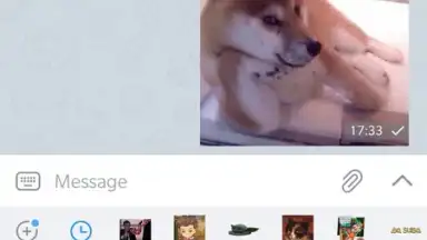 Screenshot von ForkGram 8