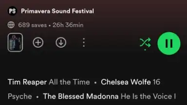Screenshot von Spotify 29