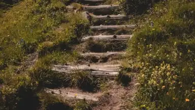 Screenshot von Instander 10