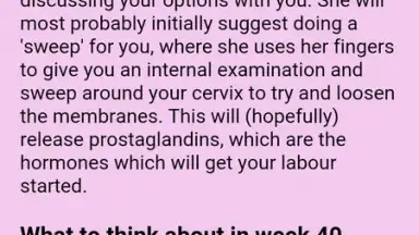 Screenshot von Pregnancy Weekly 6