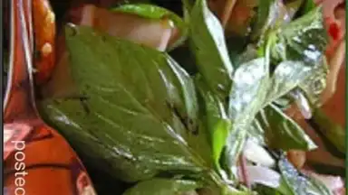Screenshot von ThaiFood 8