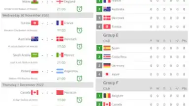 Screenshot von Live Scores for World Cup 2022 1