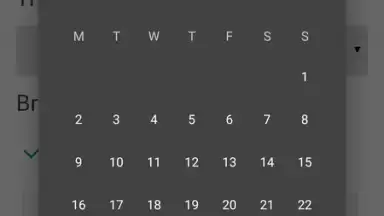 Screenshot von RetroBrowser 4