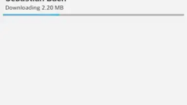 Screenshot von Music Maniac - Mp3 Downloader 3