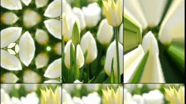 Screenshot von Mega Photo 8