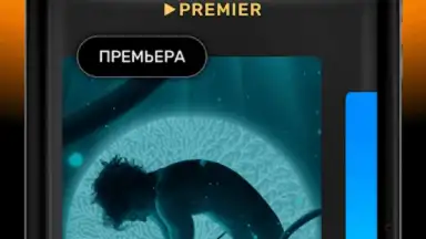 Screenshot von PREMIER 13