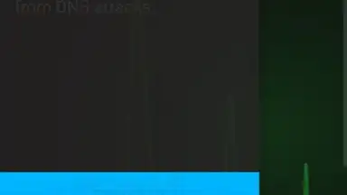 Screenshot von DNS-TM 2