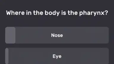 Screenshot von QuizzLand 1