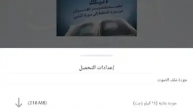Screenshot von منطوق - كتب صوتية 18