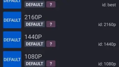 Screenshot von YTDLnis 17