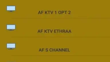 Screenshot von TV Radio 24H 2
