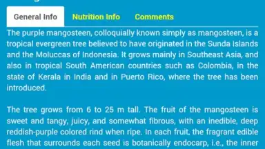 Screenshot von Food Dictionary 10