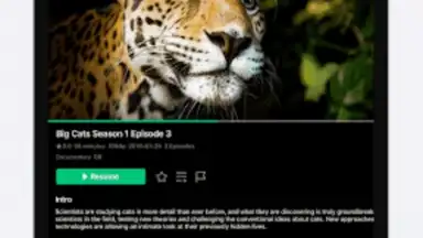 Screenshot von VidHub 16