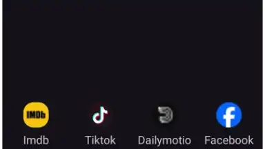 Screenshot von VidMad Video Downloader 1