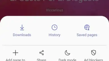 Screenshot von Samsung Internet Browser 1