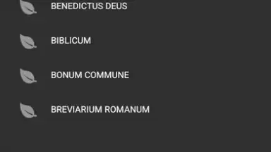 Screenshot von Католическая энциклопедия 2