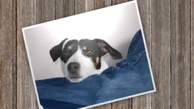 Screenshot von SlideShow5000 FREE 6