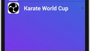 Screenshot von Karate Training 4