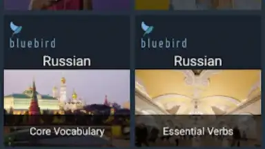 Screenshot von Bluebird Russian 8
