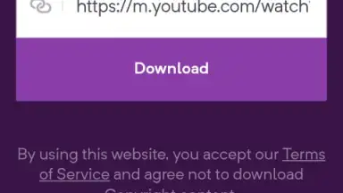 Screenshot von YouTube Video Downloader 1
