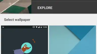 Screenshot von Google Wallpapers 5