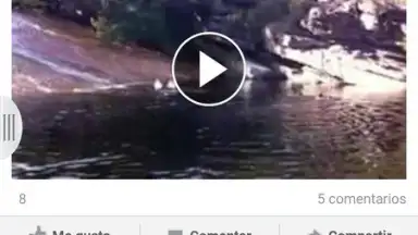 Screenshot von Appbloo FB Video Downloader 3