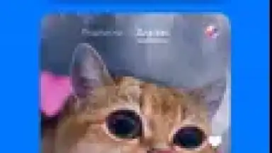 Screenshot von VK Clips 2