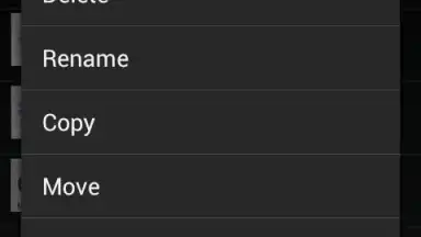 Screenshot von WebDAV Nav Lite 1
