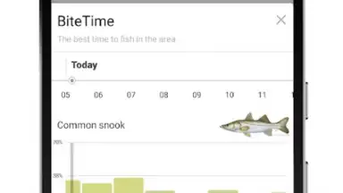 Screenshot von FishBrain 3