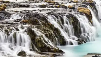 Screenshot von Google Wallpapers 3