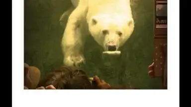 Screenshot von Polaroid PoGo App 2