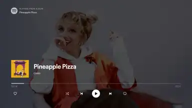 Screenshot von Spotify for Android TV 1