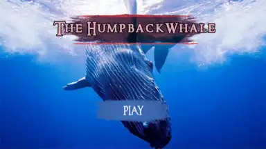 Screenshot von The Humpback Whales 9