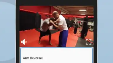 Screenshot von Ultimate MMA Fighting Program 4