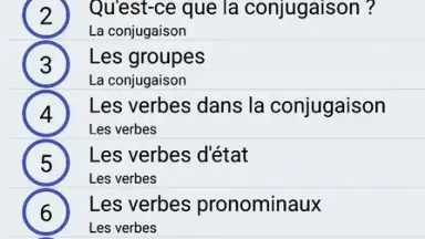 Screenshot von Le Conjugueur 2